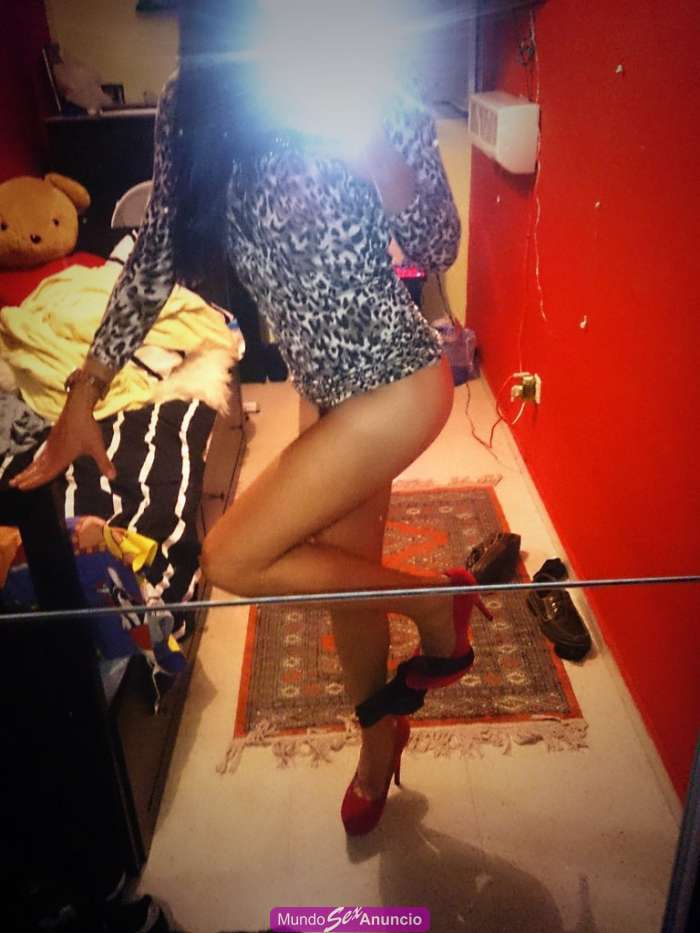 Sexo gratis com travestis hot. nasty
