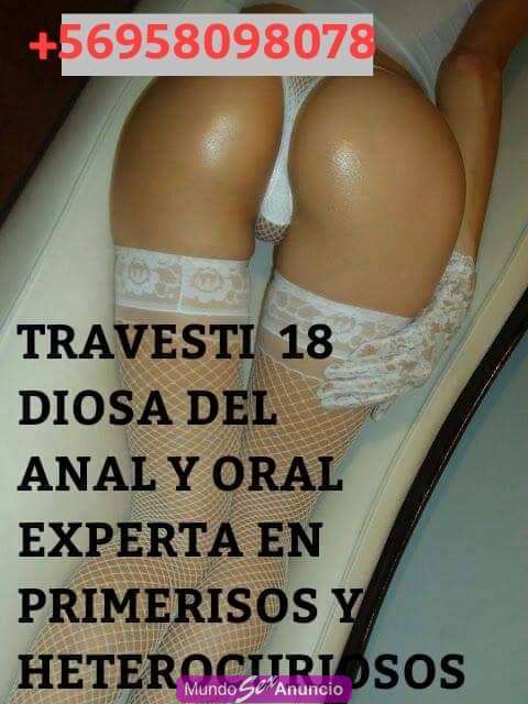 Ven follemos sexo anal y oral activa y pasiva ven en Santiago Región