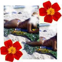 prostitutas lqsa prostitutas en sanxenxo prostitutas lqsa prostitutas en sanxenxo