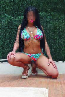 PERLA ES PURA PASIÓN LATINA. DOMICILIO 24H