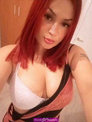 SETXY Y ELEGANTE