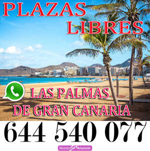 PLAZA LIBRE * LAS PALMAS *   ALTOS INGRESOS **