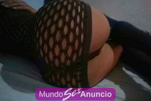 zorra bien guarra