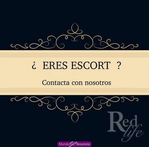 Incrementa tus ingresos desde hoy!