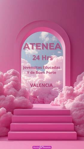 PLAZA DISPONIBLE INGRESOS DIARIOS