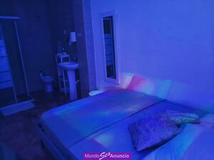 PLAZA DISPONIBLES/HABITACIONES **INGRESOS ALTOS