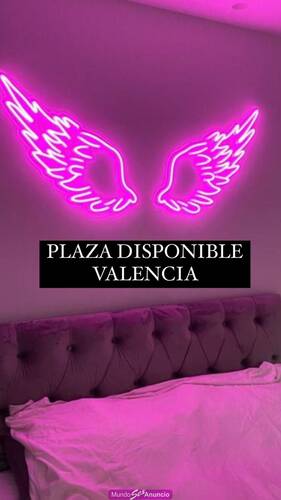 LA MEJOR PLAZA DE VALENCIA BUSCA CHICAS