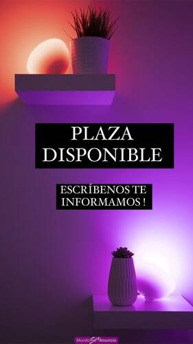 BUSCAMOS CHICAS PARA PLAZA EN VALENCIA