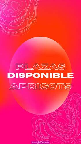 PLAZAS Y TURNOS DISPONIBLES ...CASTING.