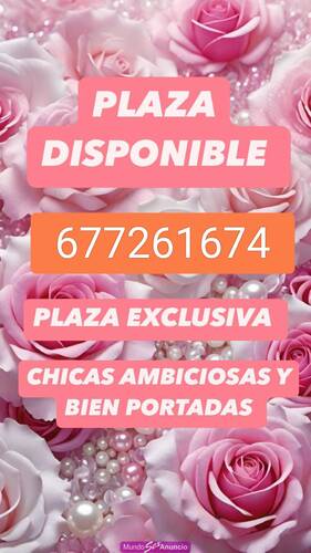 PLAZA LIBRE EN PRIMADO REIG