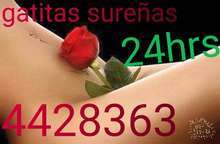 Gatitas sureñas 24hrs...2804428363❤