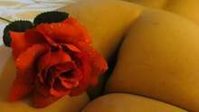 Veronica escort vip