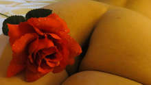 Veronica escort vip