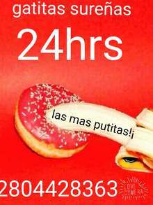 Gatitas sureñas de trelew 4428363 24hrs.