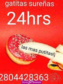 Tus gatitas sureñas tdas nuevitas 2804428363 24hrs.