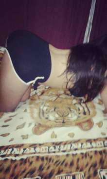 Paraguayita fogosa