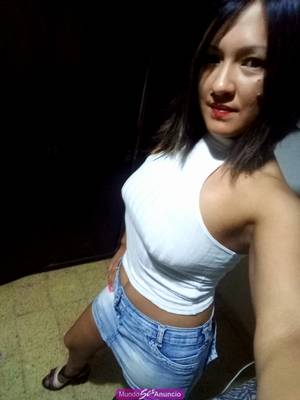La pety de bahia