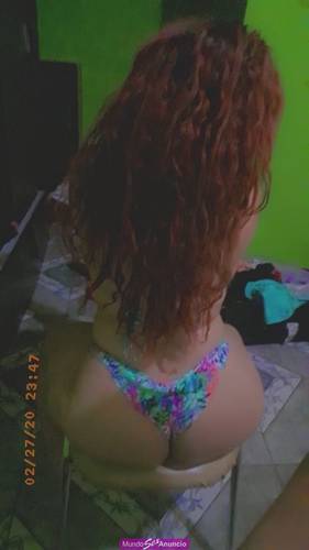 Paloma mimosa
