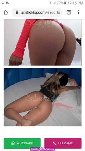 Gis hoy promo