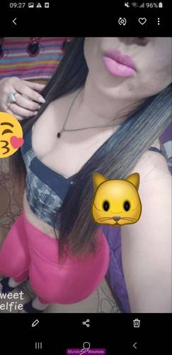 Mis amores