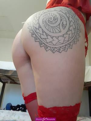 Buen dia amores hoy de 13 y 30 ah 15 y de 17 y 30 ah 4