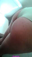 Busco boliviano activo