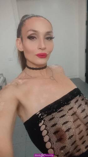 Pau... Shemale activa últimas horas