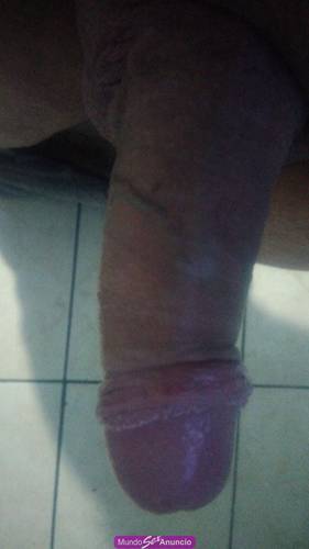 Novinhogostoso