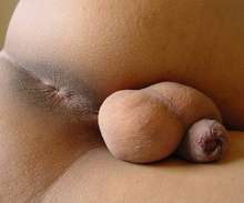 BESO NEGRO FISTING JUGUETES PELISXXX MORENA ENCANTADORA