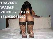MAMADORA PROFESIONAL + 56958061550 ANAL Y ORAL ACTIVA Y PASI