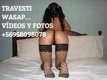 SOY TRAVESTI 18 ACTIVA Y PASIVA EXPERTA EN NOVATOS