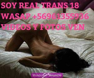 MAMADORA PROFESIONAL VEN MOKEAME EL CULO Y BOCA SOY PENDEX18