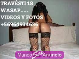 SOY MAMADORA PROFESIONAL TE LO CHUPO SIN FORRO VEN