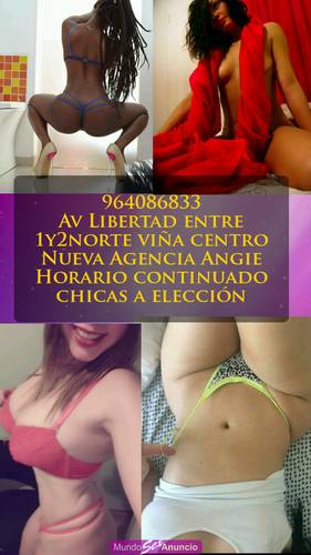 964086833 Horario continuado viña centro Querrás volver