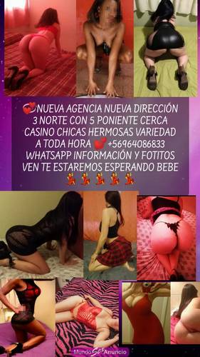 964086833 Disponibles cerca casino hermosas chicas a elecci