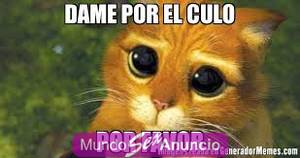 Tu deseo rico hoy ** fino jale y chelas mas voladitos es ric
