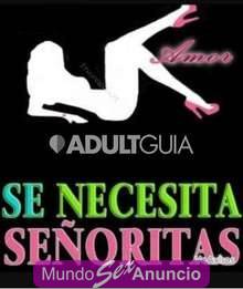 necesito señoritas escort    984534692