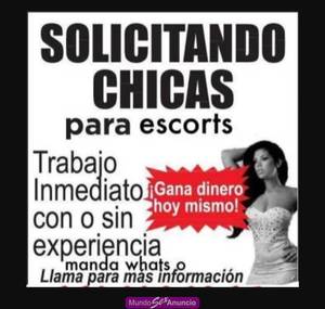 ⭐SOLICITAMOS CHICAS ESCORTS DE TODO CHILE 😌