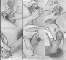 (( STRAPOON) )MASAJE PROSTATICO $40.000