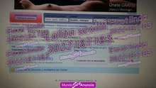 302.218.11.83. .. SEXII .. SOFIA .
