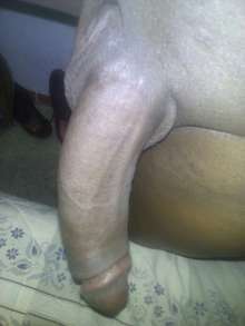 complacedor full vergon