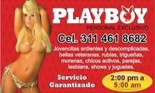 SOMOS TUS LOBAS PLAYBOY DE BUCARAMANGA