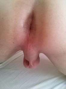 solo vergones full arrecho