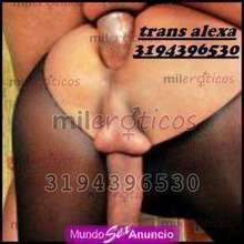 TRAAANSSS ALEXA EXPERTA EN NOVATOS CULOTE TRAGON APTO Y PARQ