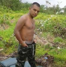 Milipas tragon