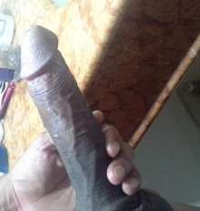 Alberto vergudo activo lechero
