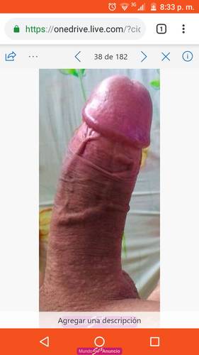 Chico activo para hoy domingo