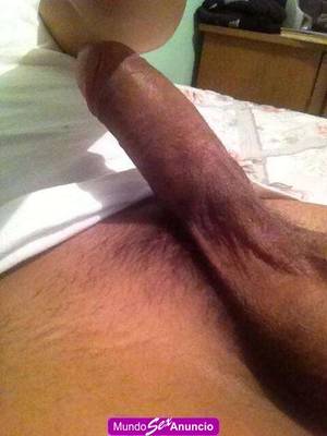 Vigilante Activo prepago lechero trabajo en suba