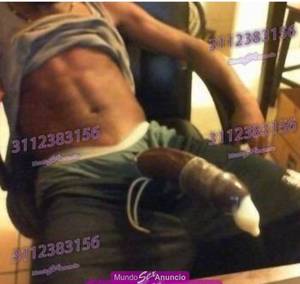 NEGRO  FOLLADOR VERGON POTENTE LECHERO