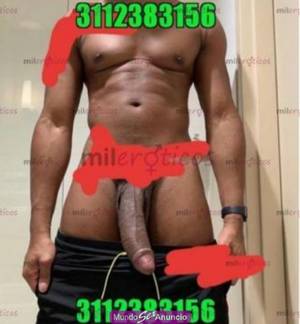 VERGON BIEN DOTADO  NEGRO POTENTE LECHERO